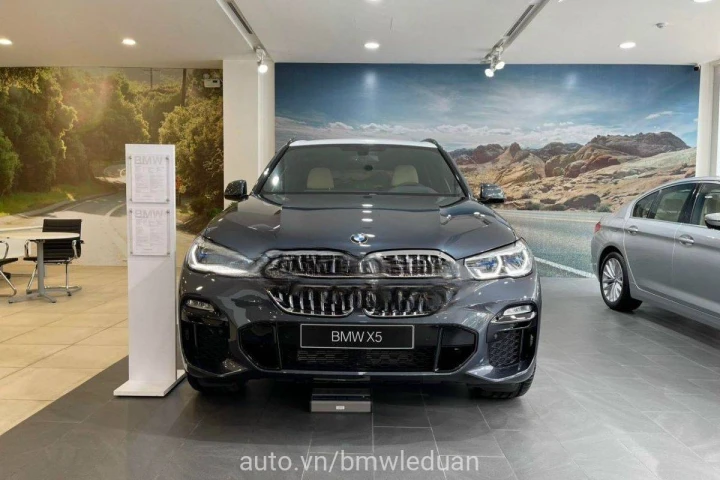 BMW X Series X5 2022