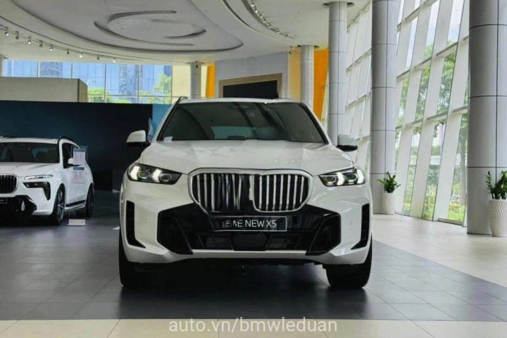 BMW X Series X5 2024