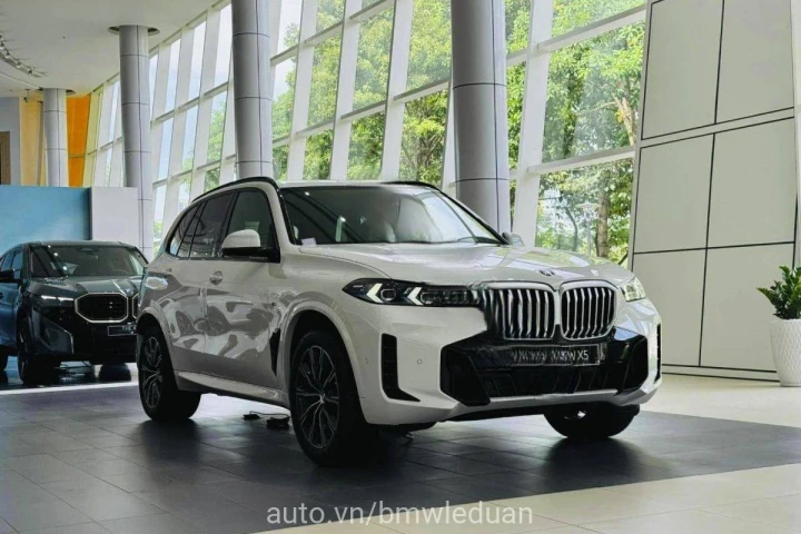 BMW X Series X5 2024