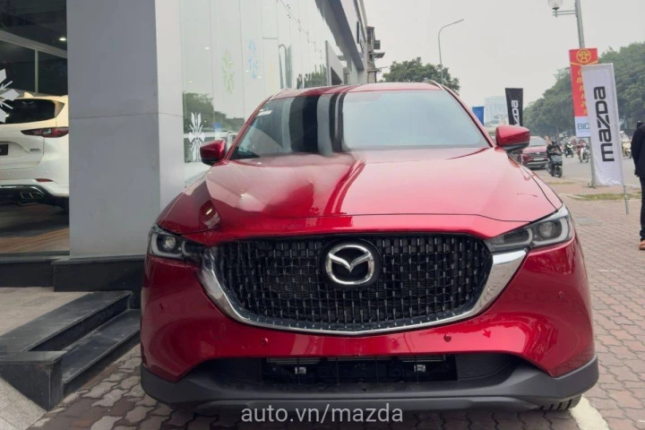 Mazda CX-8 2.5L Luxury 2024