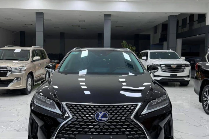 Lexus RX 2021