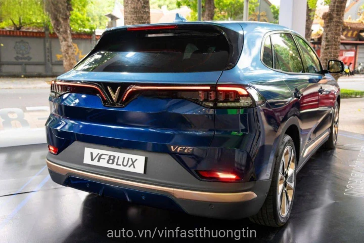 VinFast VF 8 2024