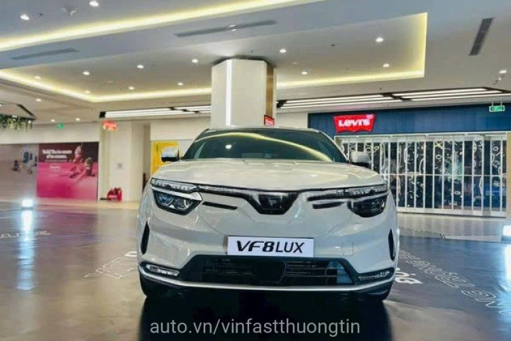 VinFast VF 8 2024