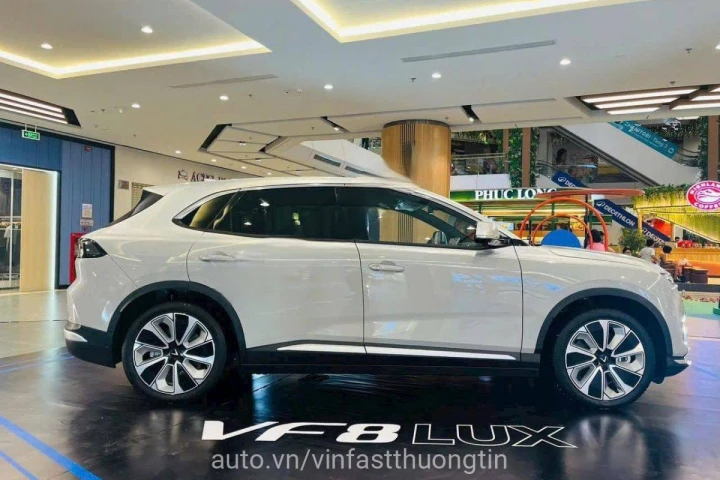 VinFast VF 8 2024