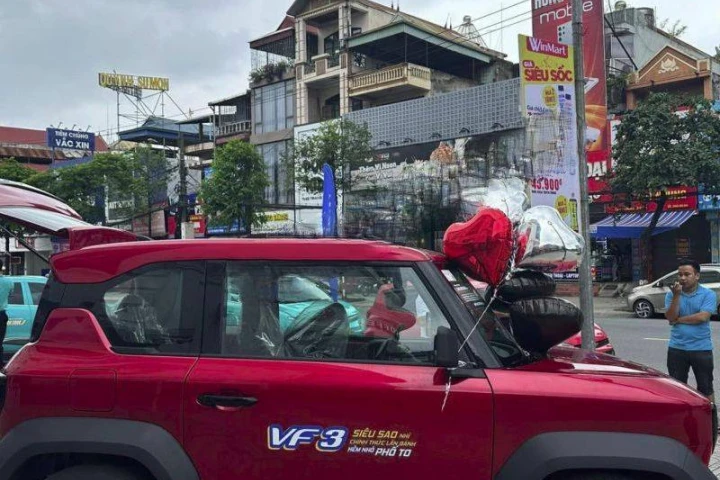 VinFast VF3 2024