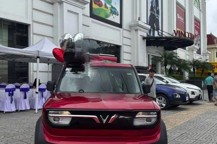 VinFast VF3 2024
