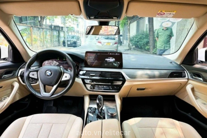 BMW 5 Series Luxury Line 2022