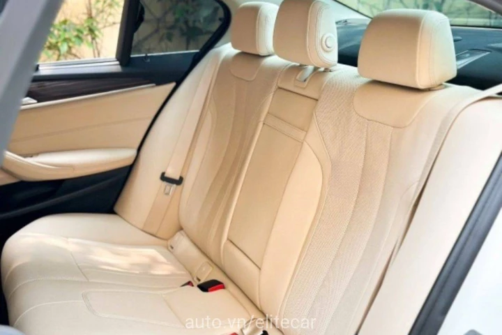 BMW 5 Series Luxury Line 2022