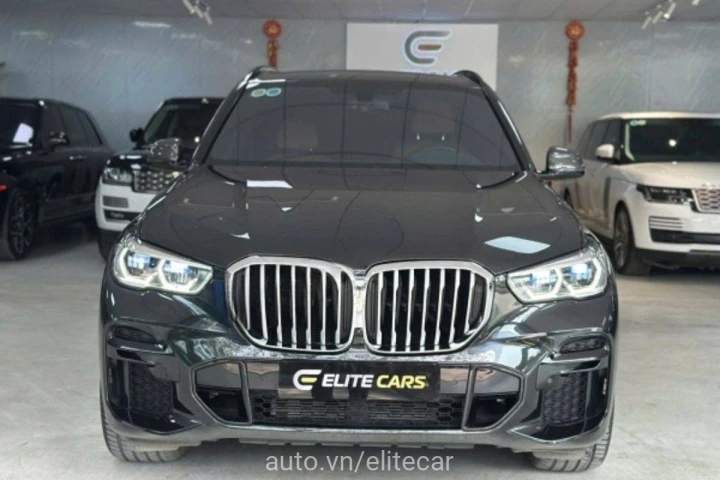 BMW X Series X5 2022