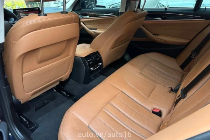 BMW 5 Series Luxury Line 2019