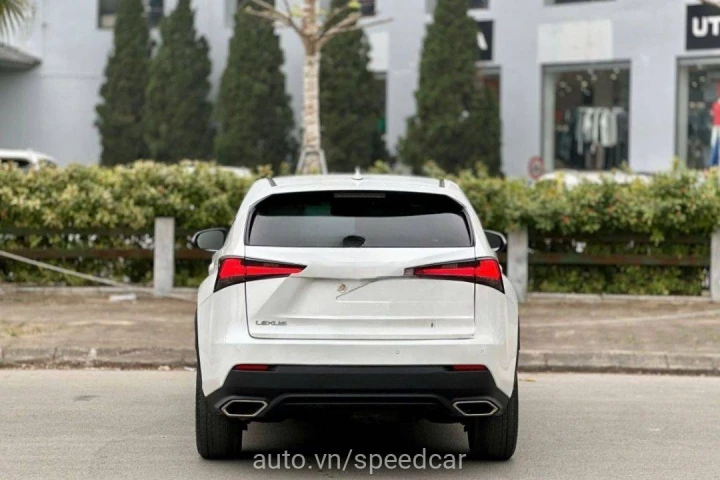 Lexus NX 2019