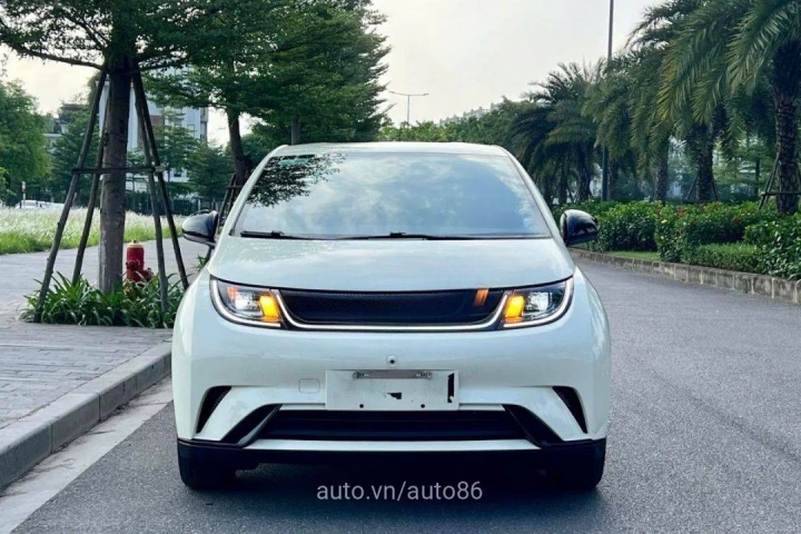 BYD Dolphin 2024