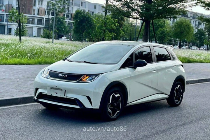 BYD Dolphin 2024