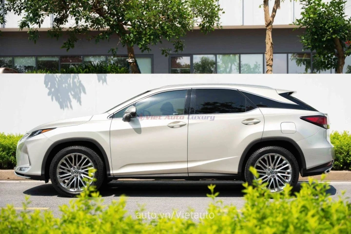 Lexus RX 2020