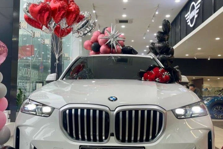BMW X Series X5 2024
