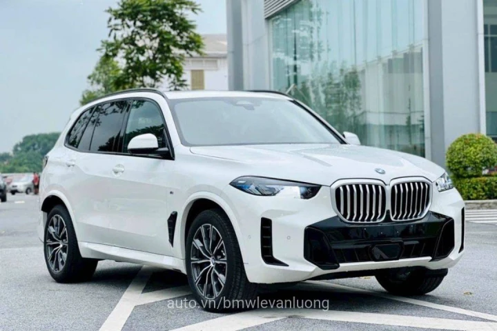 BMW X Series X5 2024